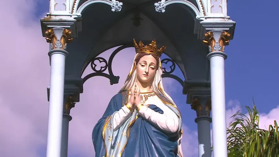 Corça – GENTILEZA - Céu Nossa Senhora da Conceição